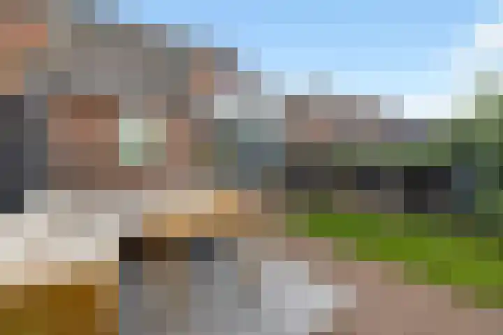 Leeuweriklaan 9 't Veld thumbnail 34