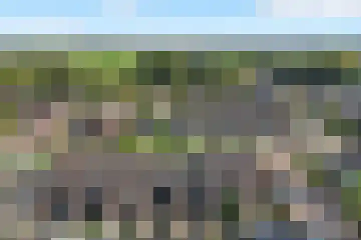 Leeuweriklaan 9 't Veld thumbnail 35
