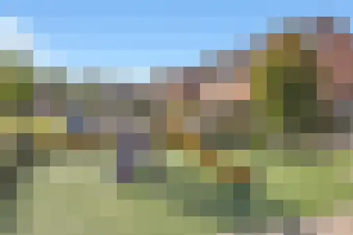 Leeuweriklaan 9 't Veld thumbnail 36