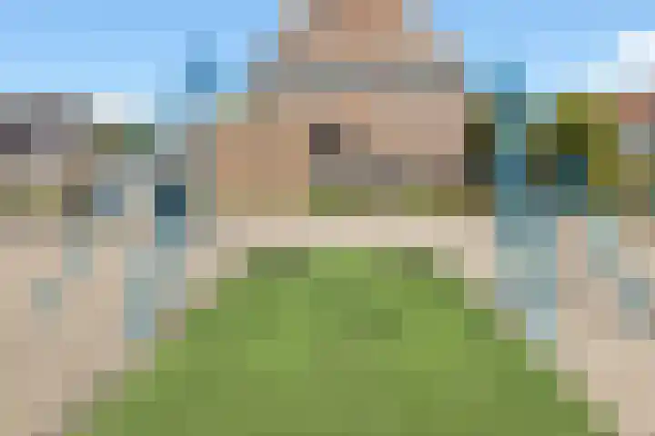 Leeuweriklaan 9 't Veld thumbnail 37