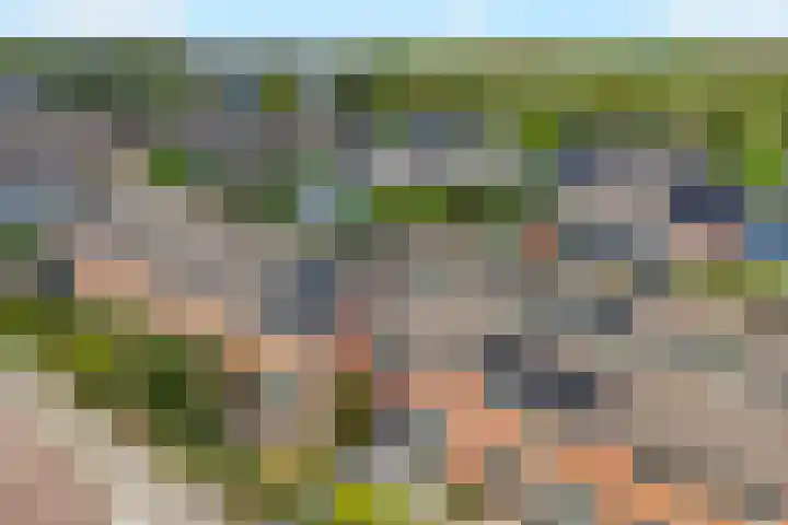 Leeuweriklaan 9 't Veld thumbnail 38