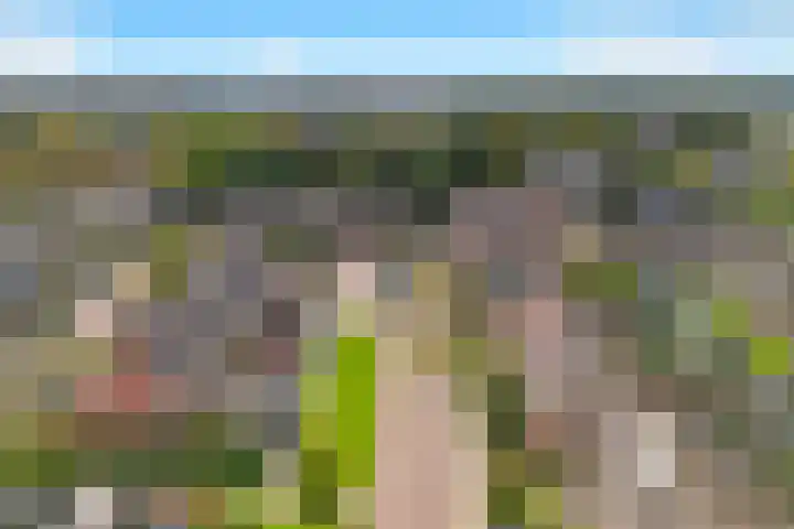 Leeuweriklaan 9 't Veld thumbnail 39