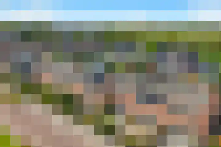 Leeuweriklaan 9 't Veld thumbnail 4