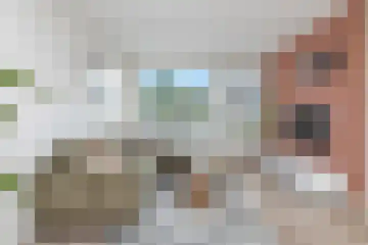 Leeuweriklaan 9 't Veld thumbnail 8