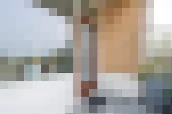 Leeuweriklaan 97 Bussum thumbnail 19