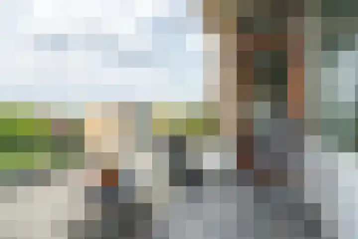 Leeuweriklaan 97 Bussum thumbnail 20
