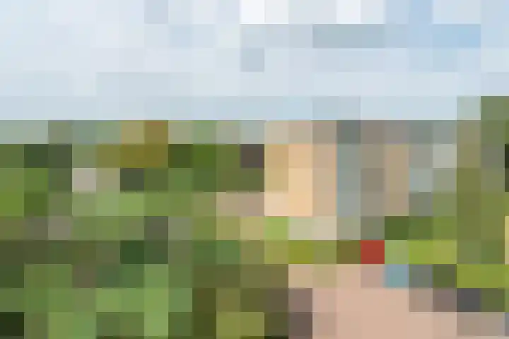 Leeuweriklaan 97 Bussum thumbnail 21