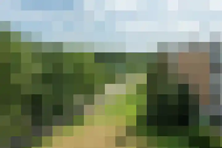 Leeuweriklaan 97 Bussum thumbnail 30