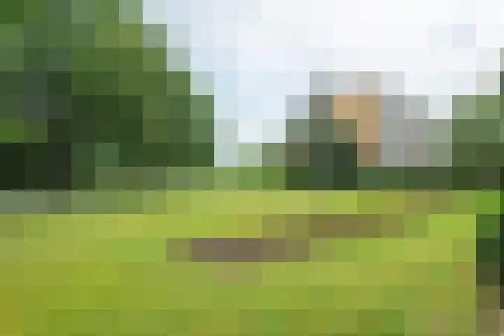 Leeuweriklaan 97 Bussum thumbnail 32