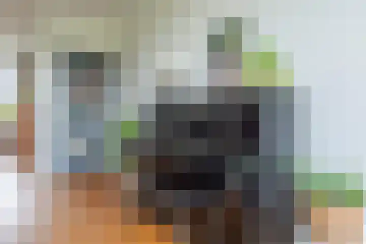 Leeuweriklaan 97 Bussum thumbnail 7