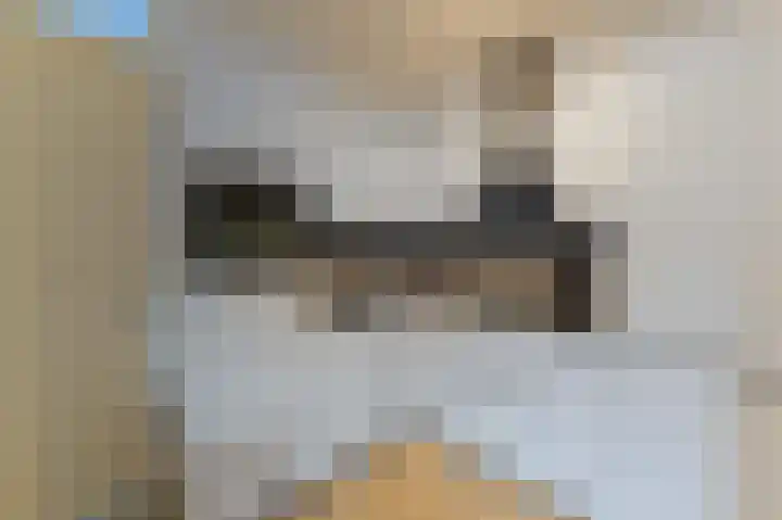 Leeuwerikplein 10 Venlo thumbnail 13