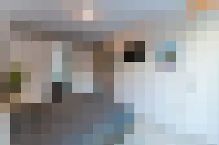 Leeuwerikplein 10 Venlo thumbnail 15