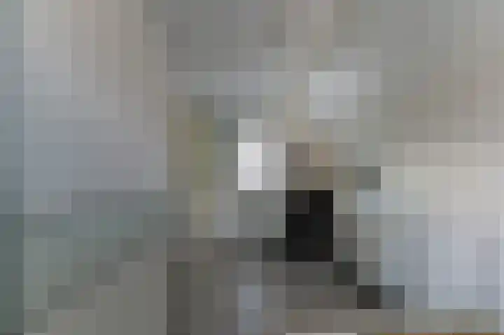 Leeuwerikplein 10 Venlo thumbnail 18