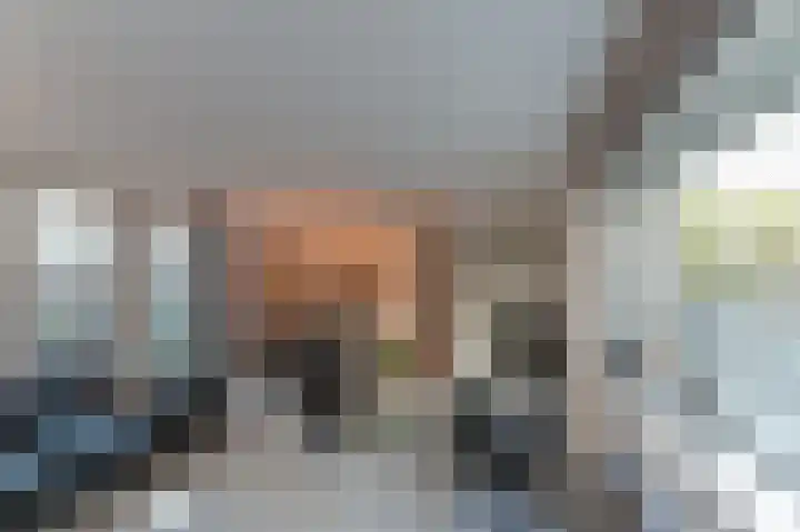Leeuwerikplein 10 Venlo thumbnail 9