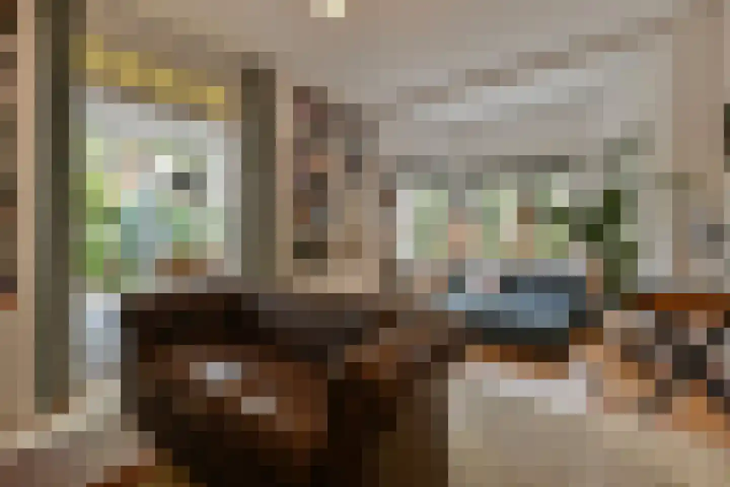 Leeuwerikplein 11 Den Haag thumbnail 17