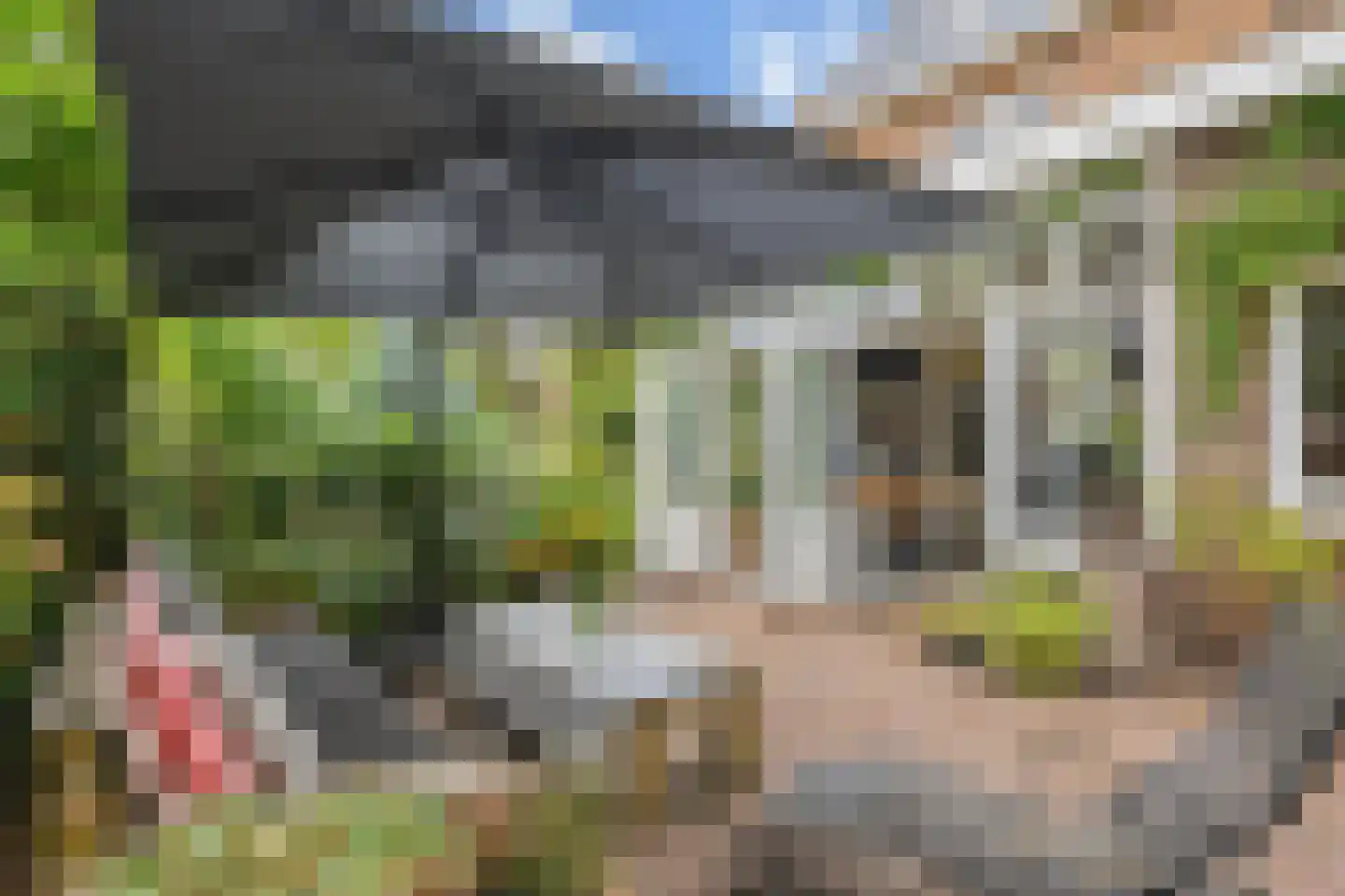 Leeuwerikplein 11 Den Haag thumbnail 52