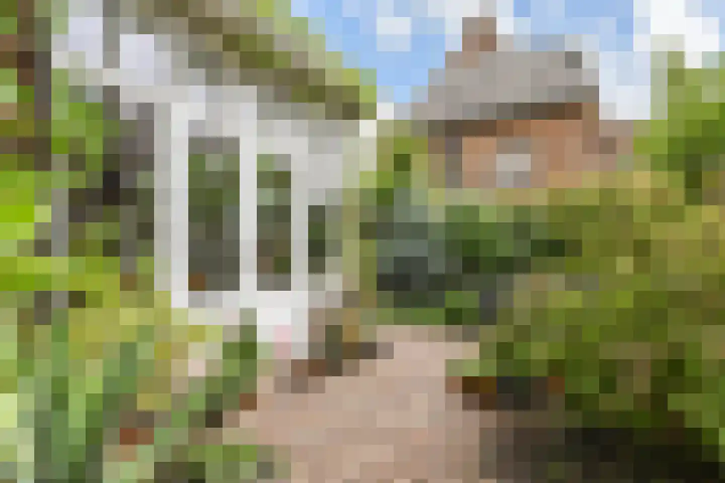 Leeuwerikplein 11 Den Haag thumbnail 58