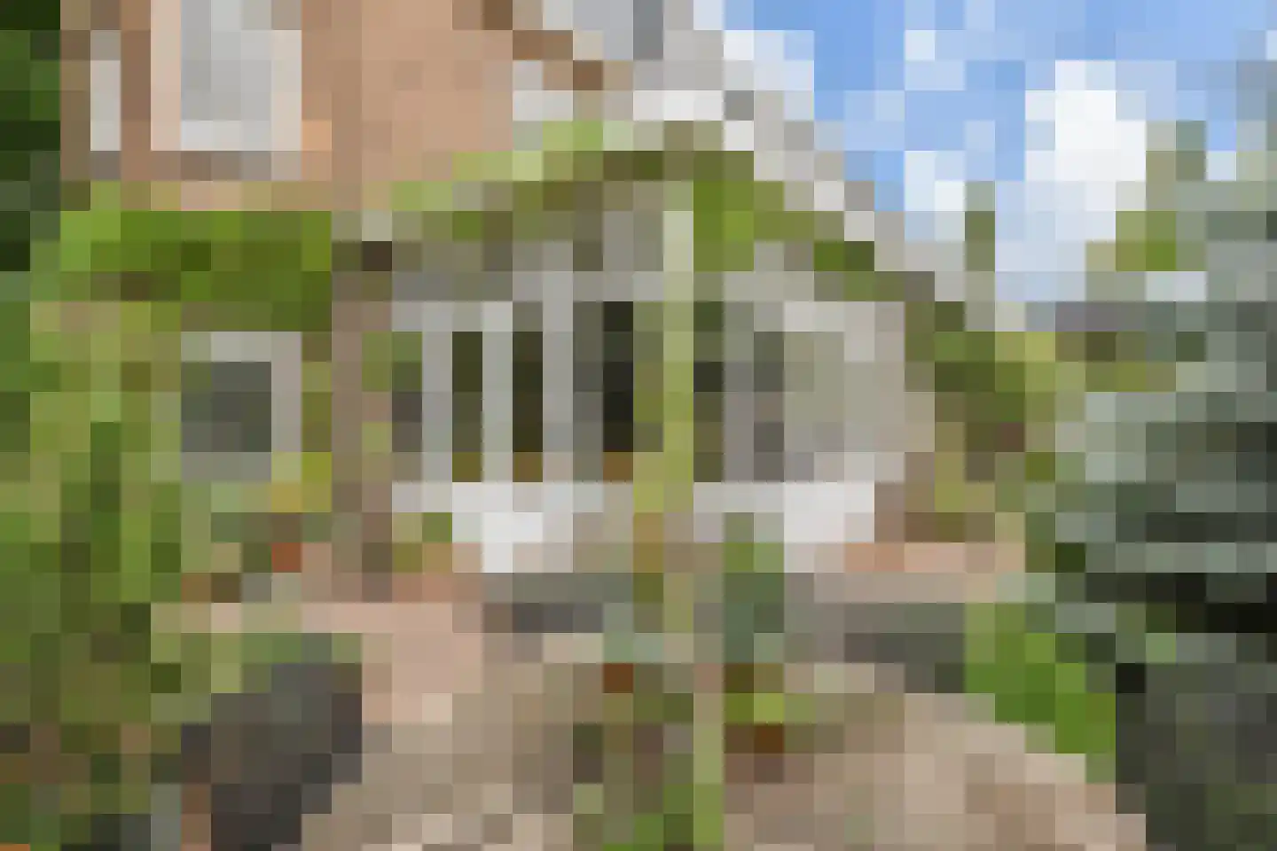 Leeuwerikplein 11 Den Haag thumbnail 59