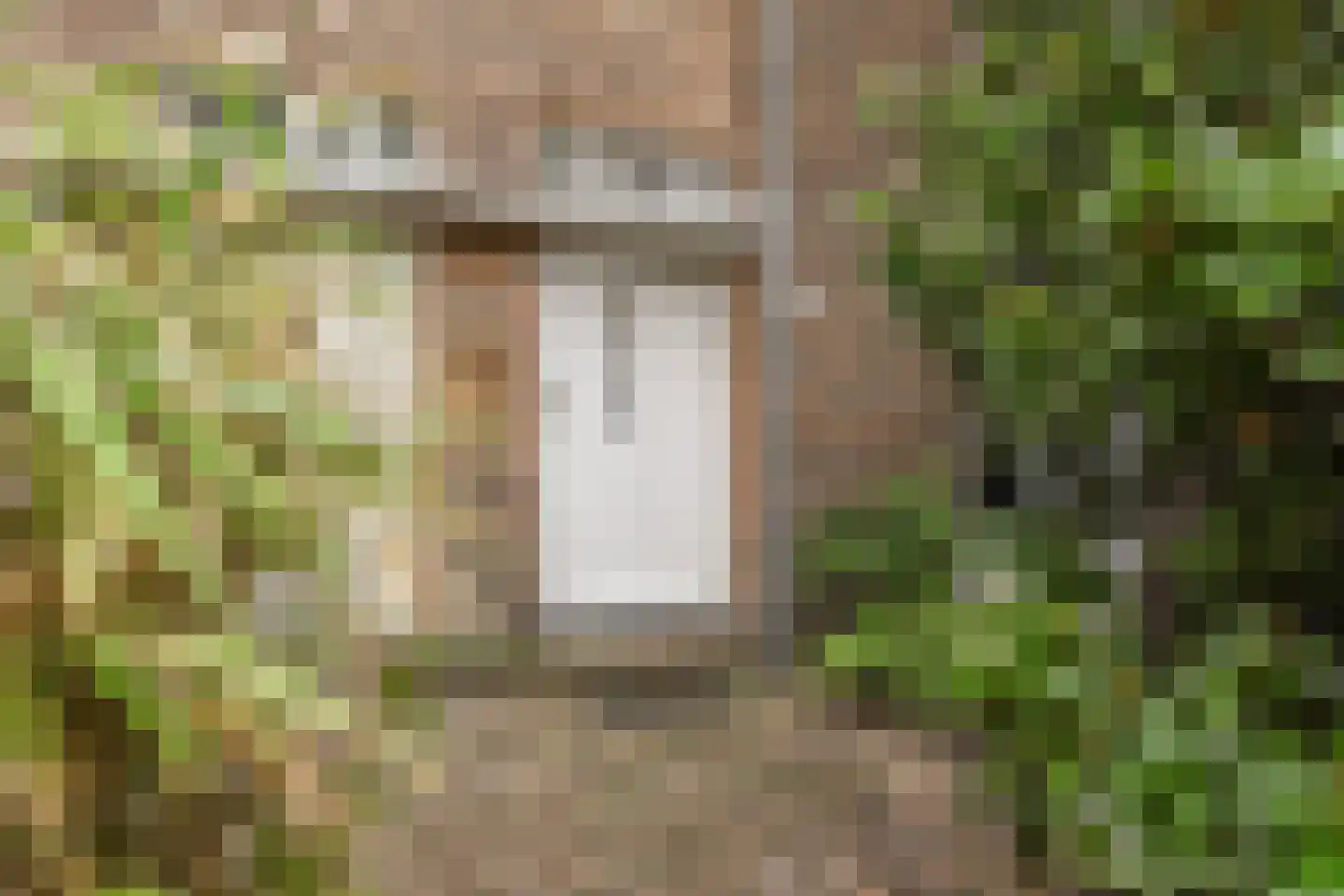 Leeuwerikplein 11 Den Haag thumbnail 6