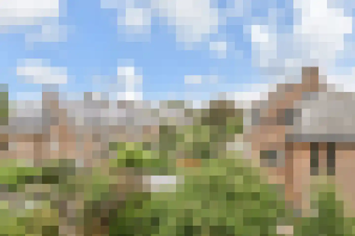 Leeuwerikplein 11 Den Haag thumbnail 61