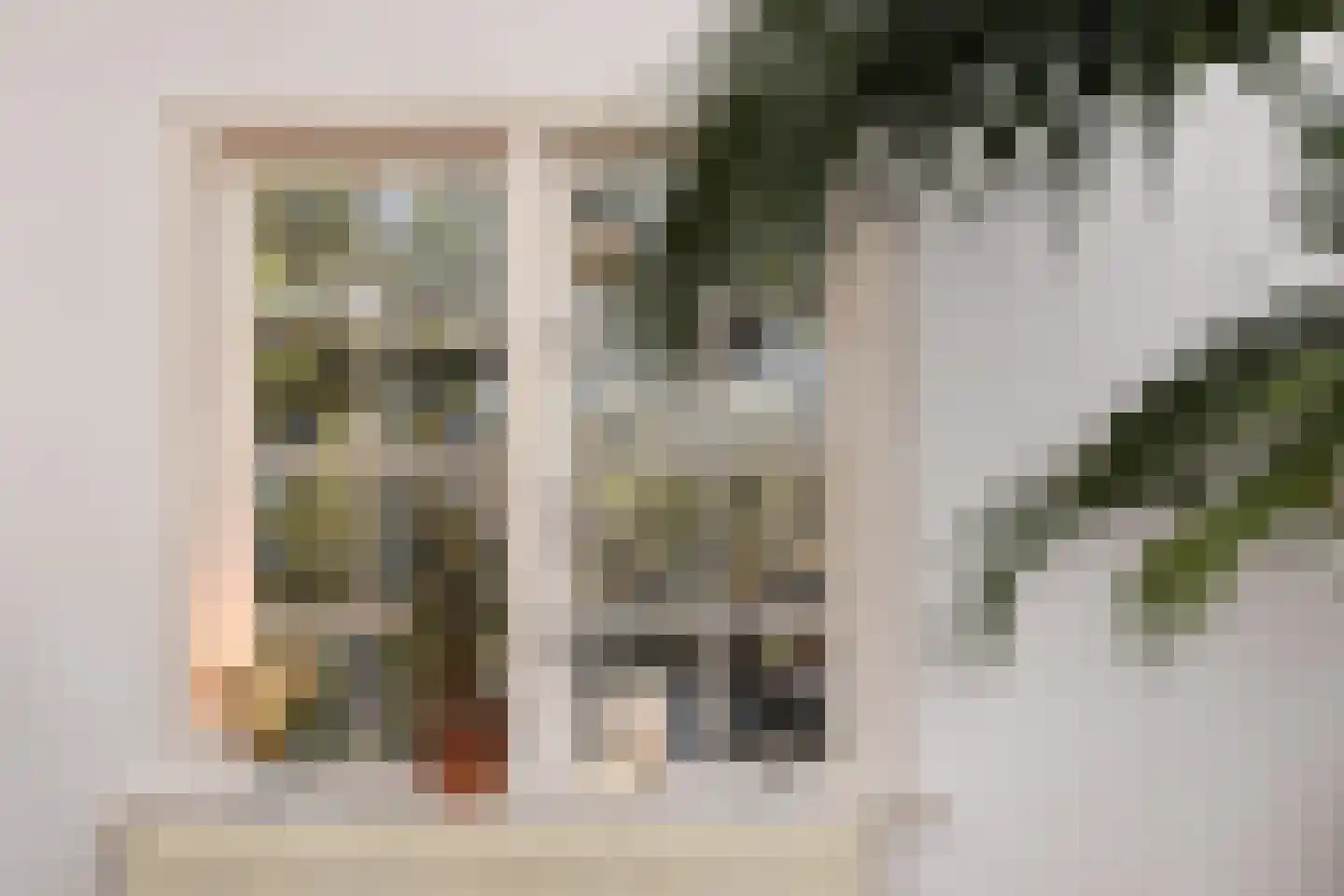 Leeuwerikplein 12 Den Haag thumbnail 10