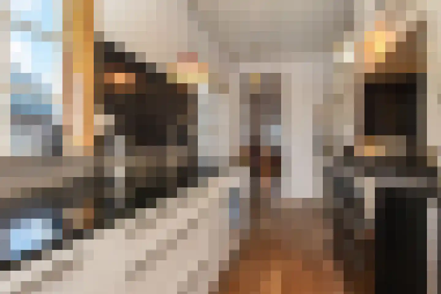 Leeuwerikplein 12 Den Haag thumbnail 22
