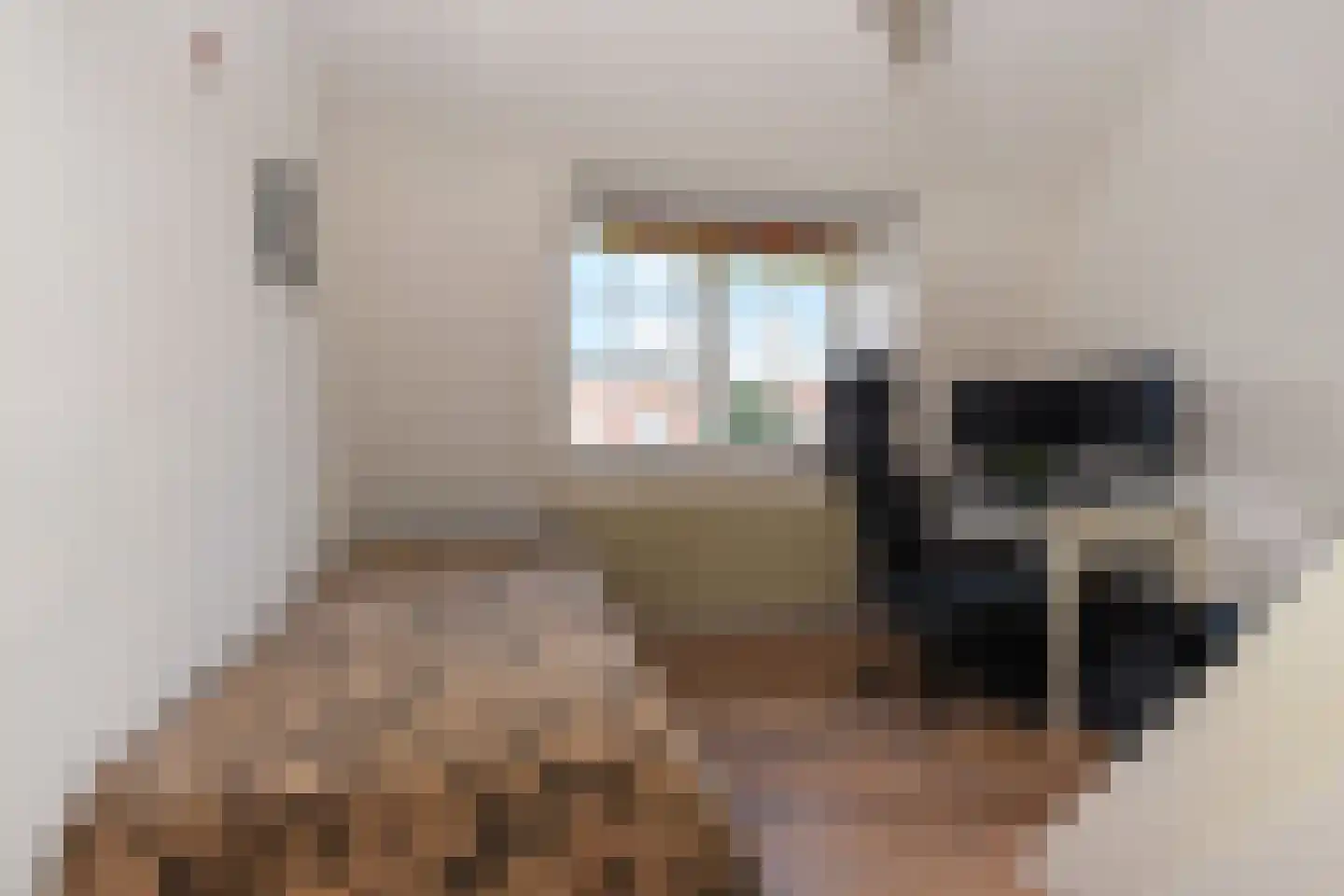 Leeuwerikplein 12 Den Haag thumbnail 32