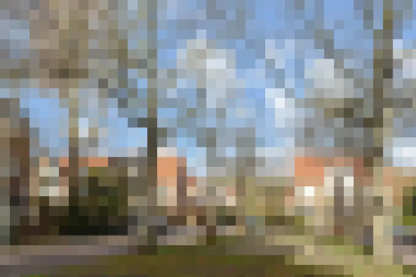 Leeuwerikplein 12 Den Haag thumbnail 36