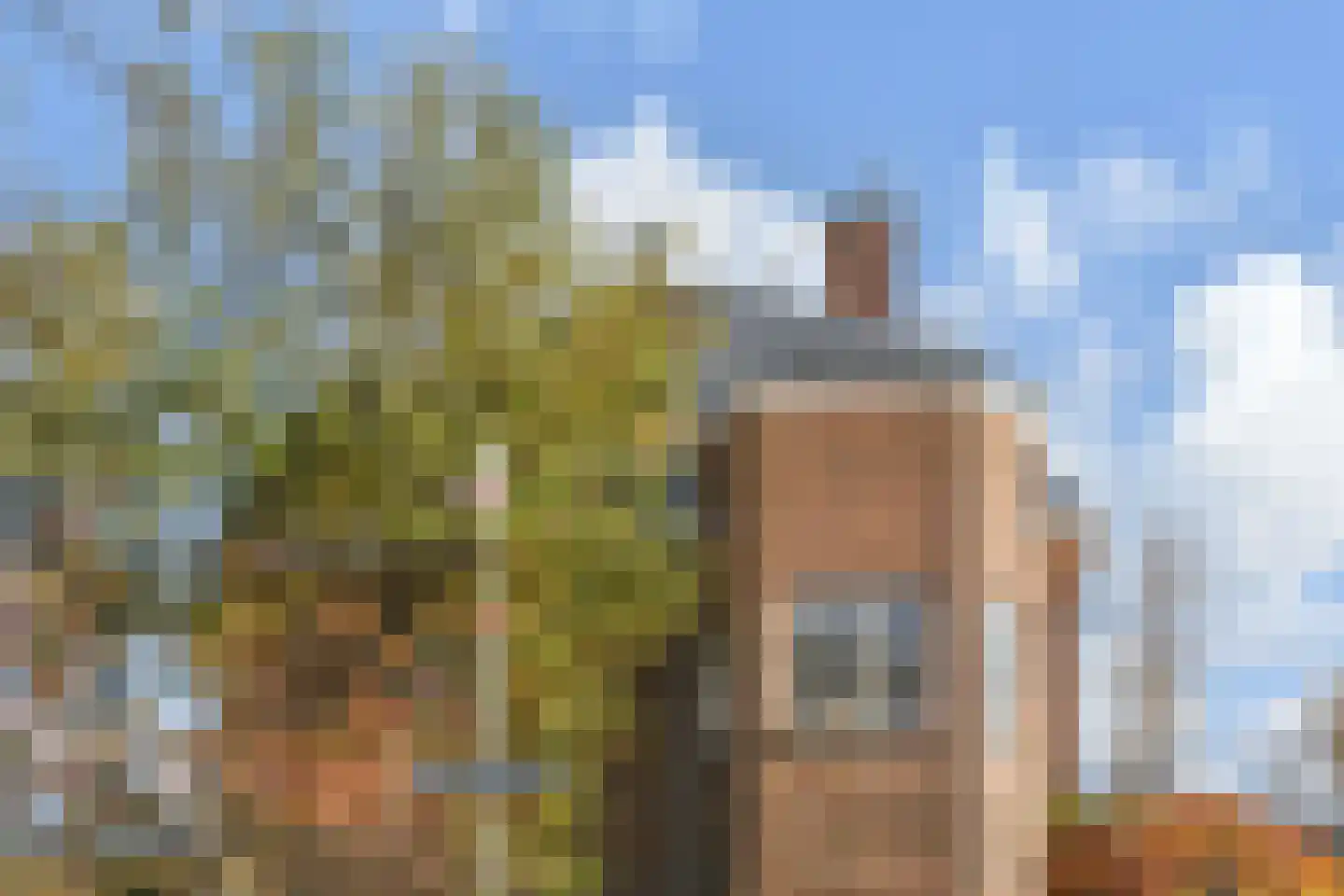 Leeuwerikplein 12 Den Haag thumbnail 38