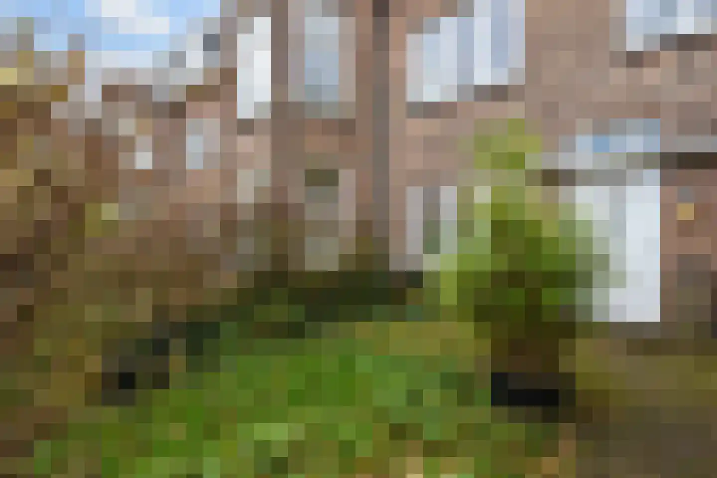 Leeuwerikplein 12 Den Haag thumbnail 4