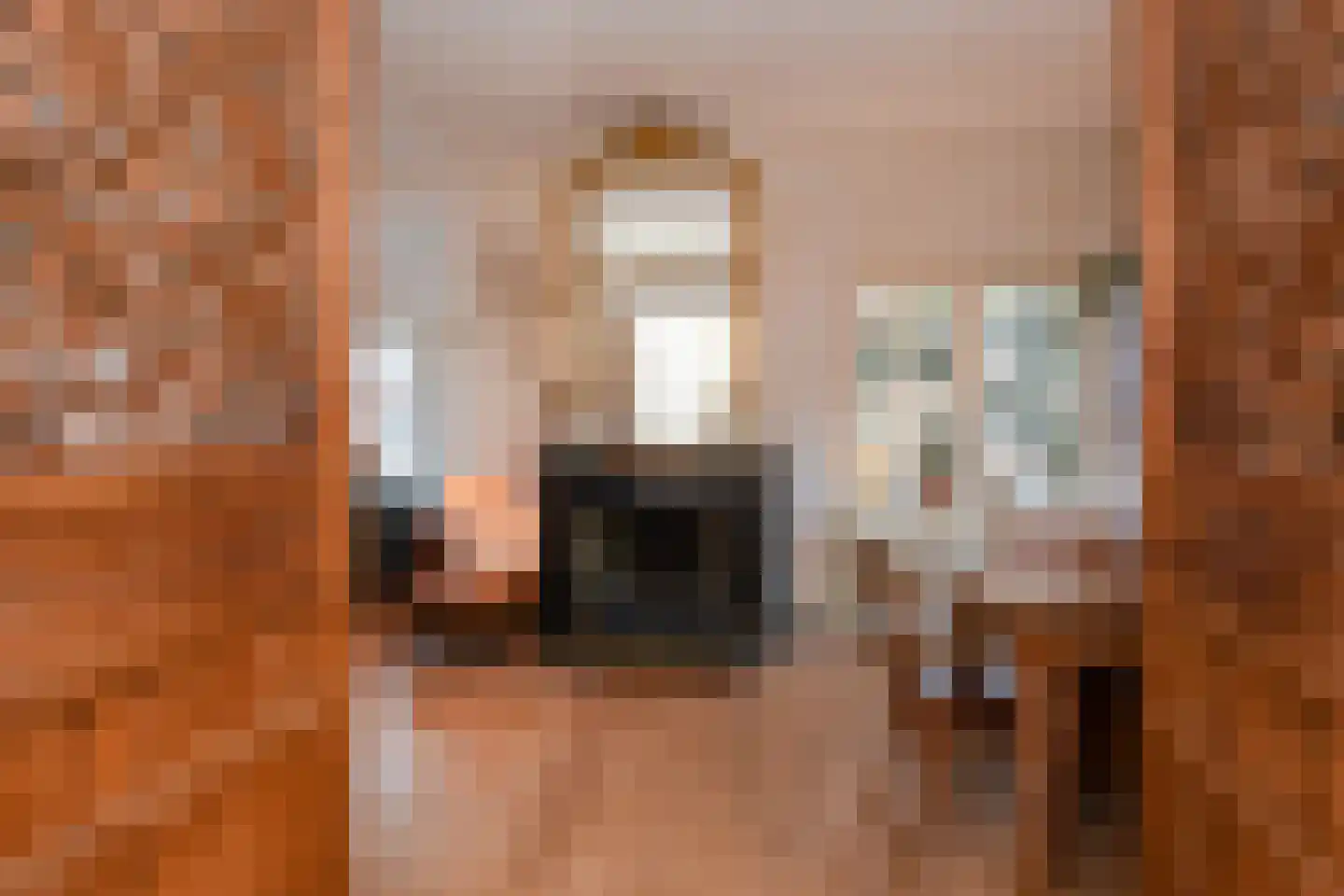 Leeuwerikplein 12 Den Haag thumbnail 6