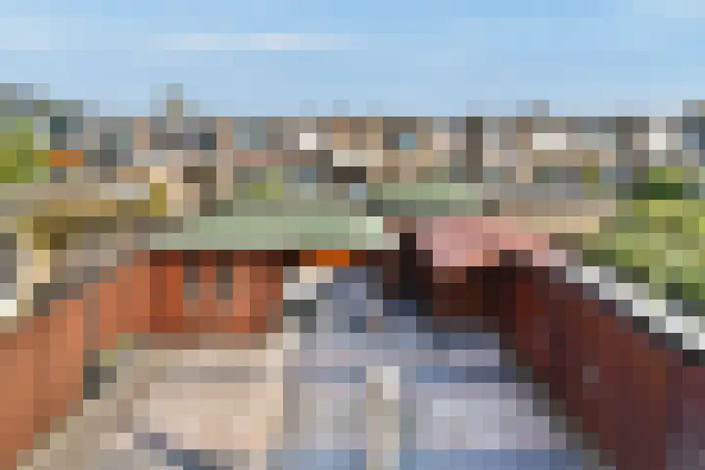 Leeuweriksingel 39 Schiedam thumbnail 10