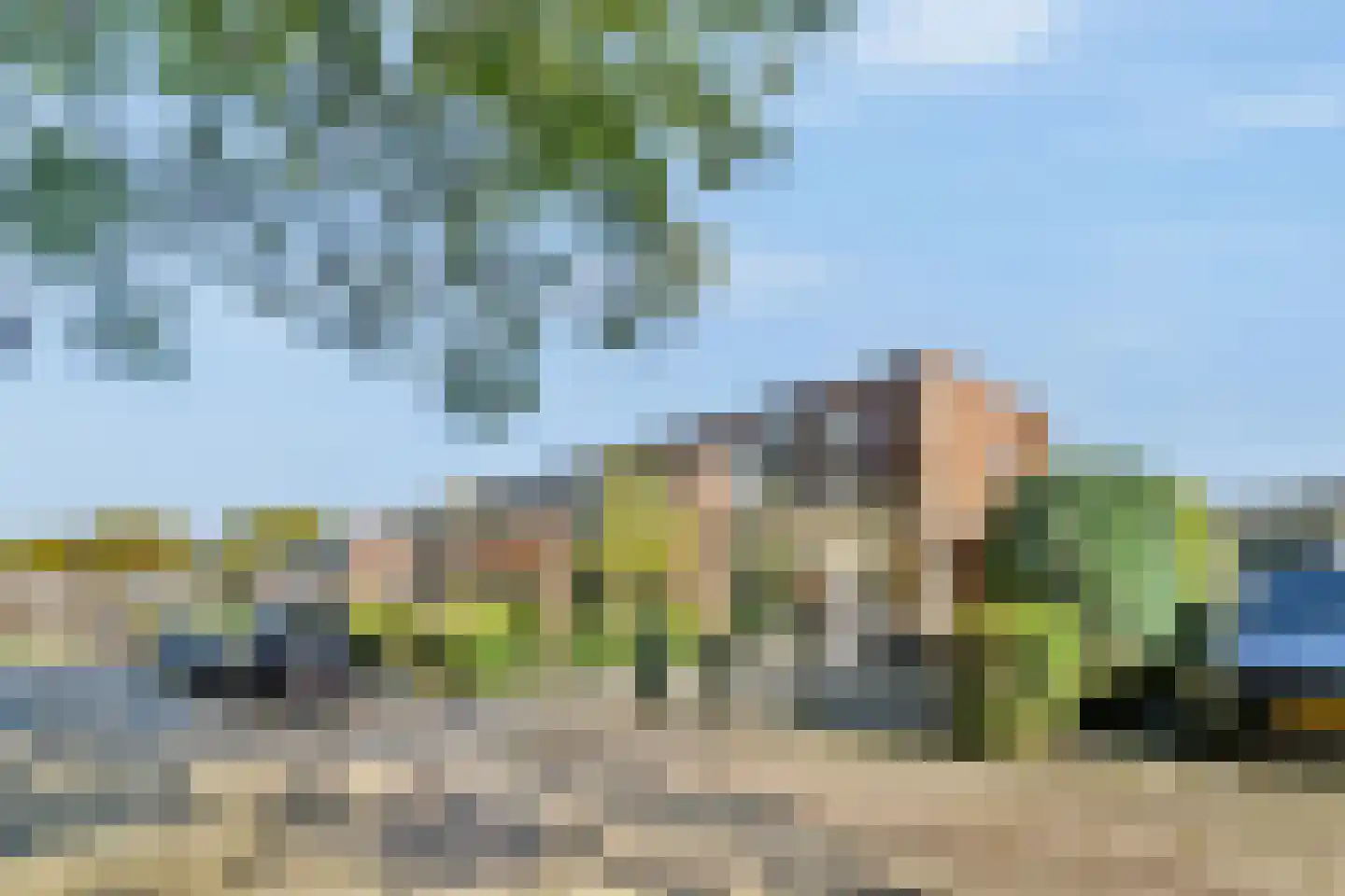 Leeuweriksingel 39 Schiedam thumbnail 23