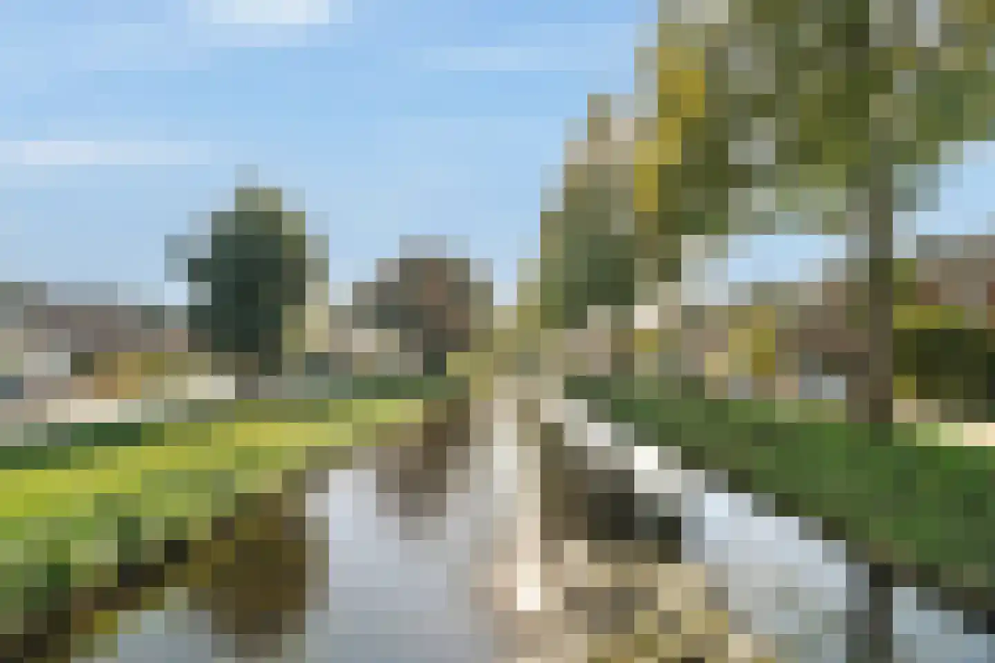 Leeuweriksingel 39 Schiedam thumbnail 25