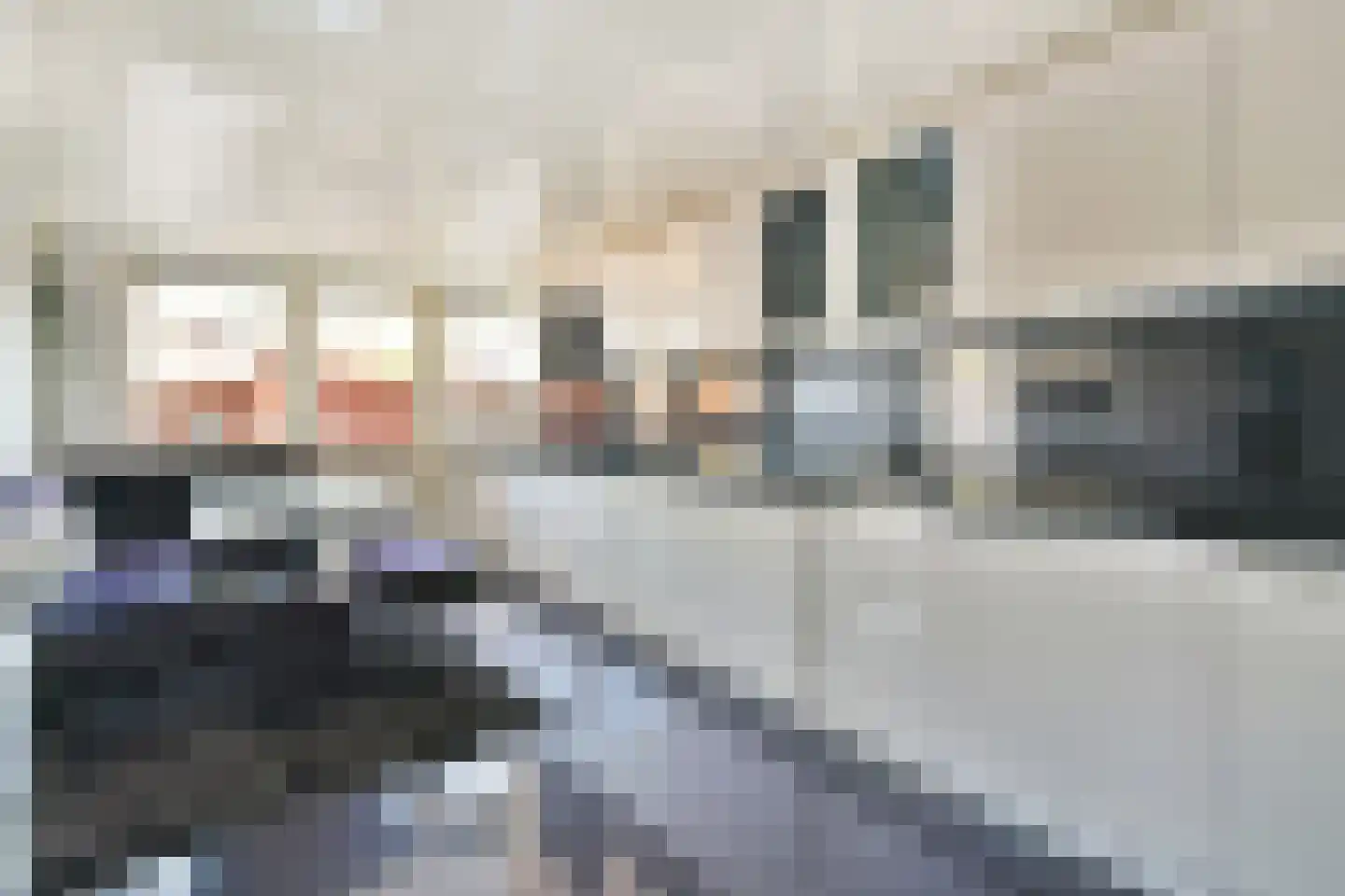 Leeuweriksingel 39 Schiedam thumbnail 4