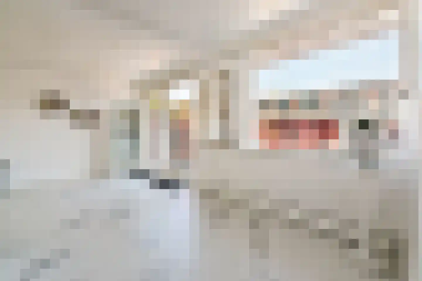 Leeuweriksingel 39 Schiedam thumbnail 5