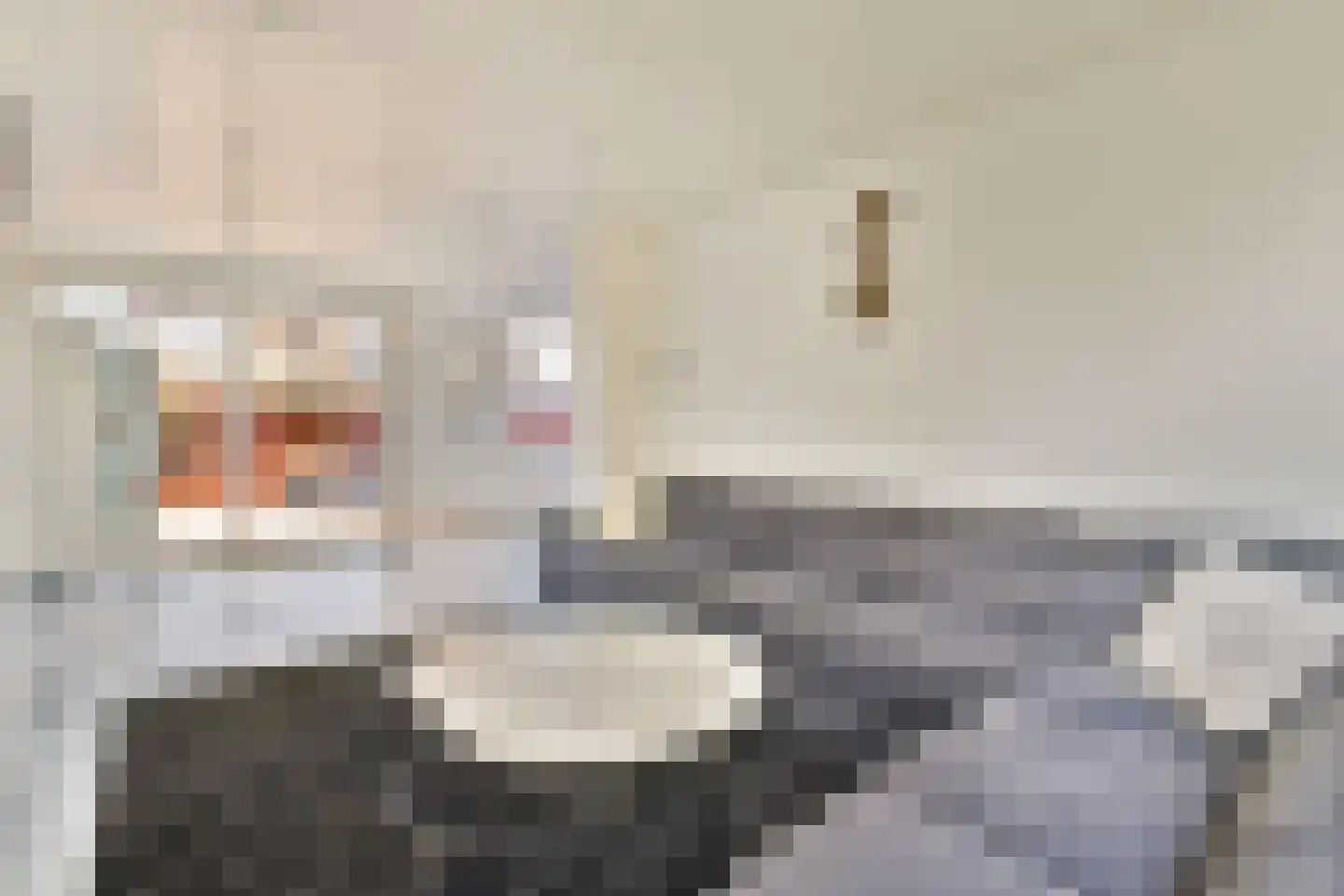 Leeuweriksingel 39 Schiedam thumbnail 6