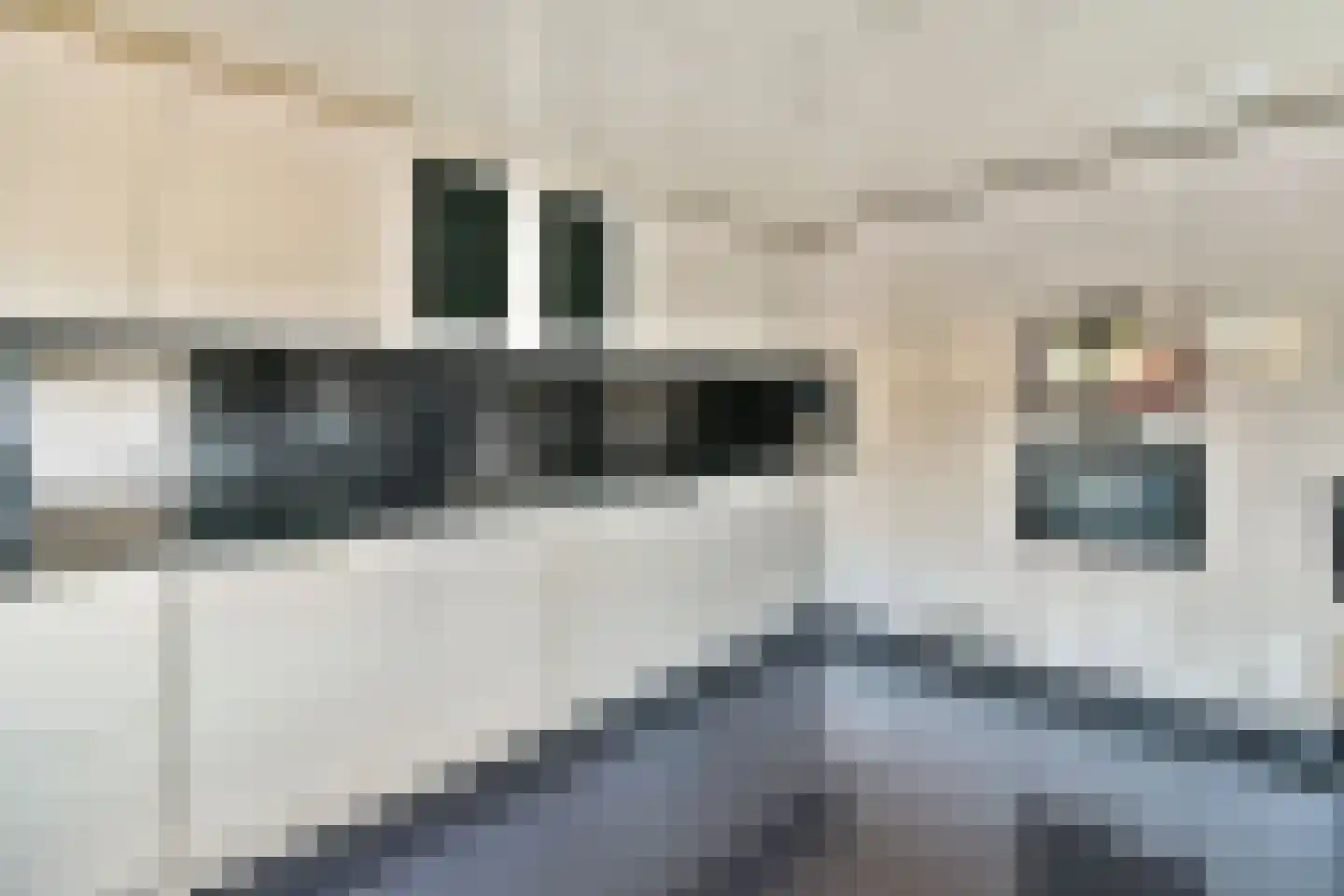 Leeuweriksingel 39 Schiedam thumbnail 7
