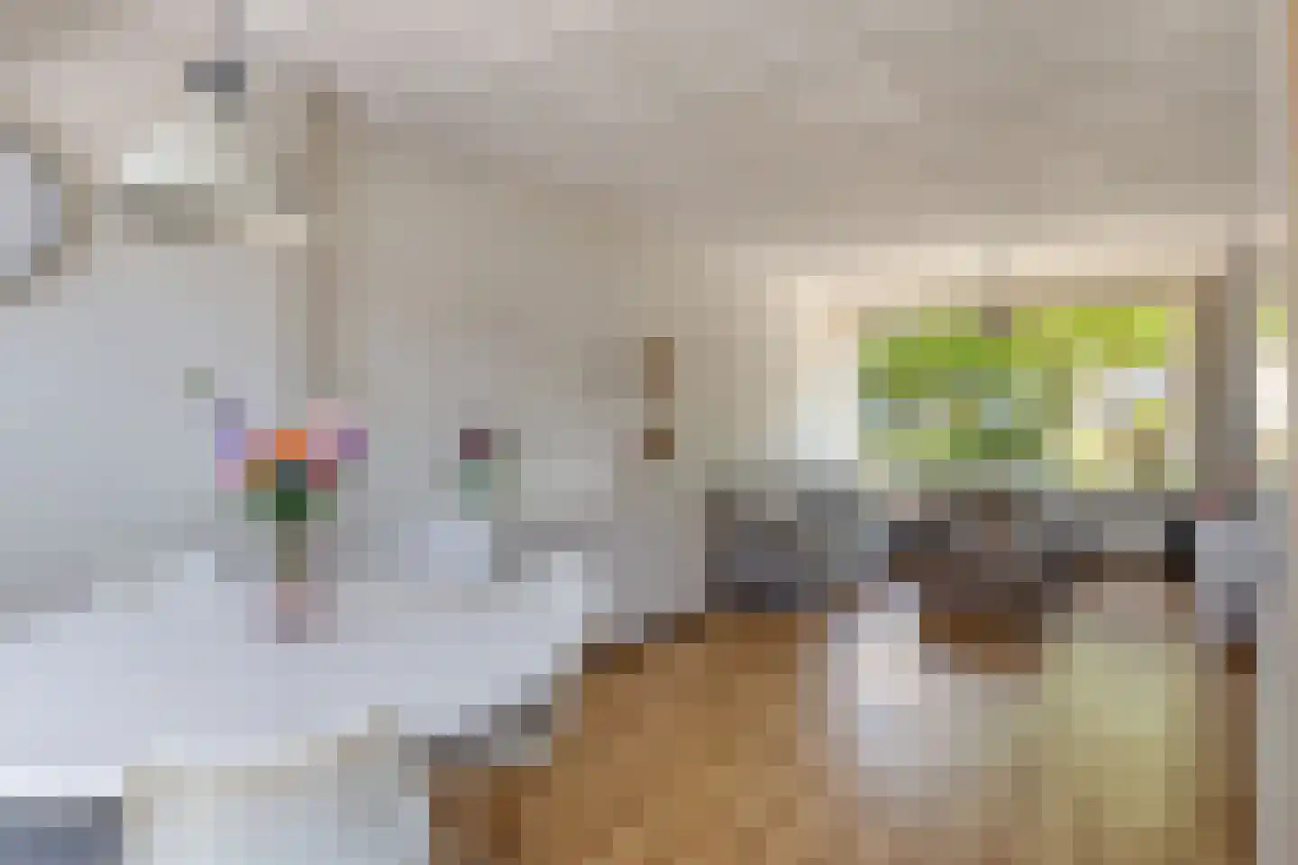 Leeuweriksingel 4 Sliedrecht thumbnail 10