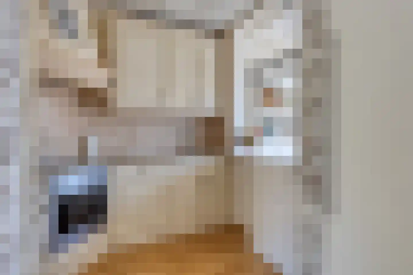 Leeuweriksingel 4 Sliedrecht thumbnail 11