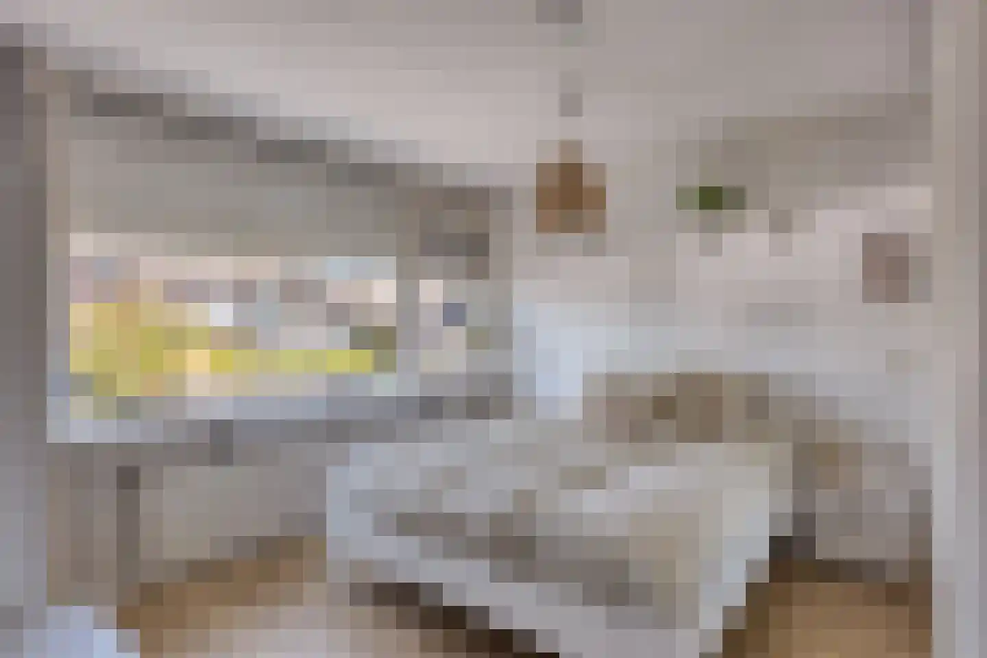Leeuweriksingel 4 Sliedrecht thumbnail 14