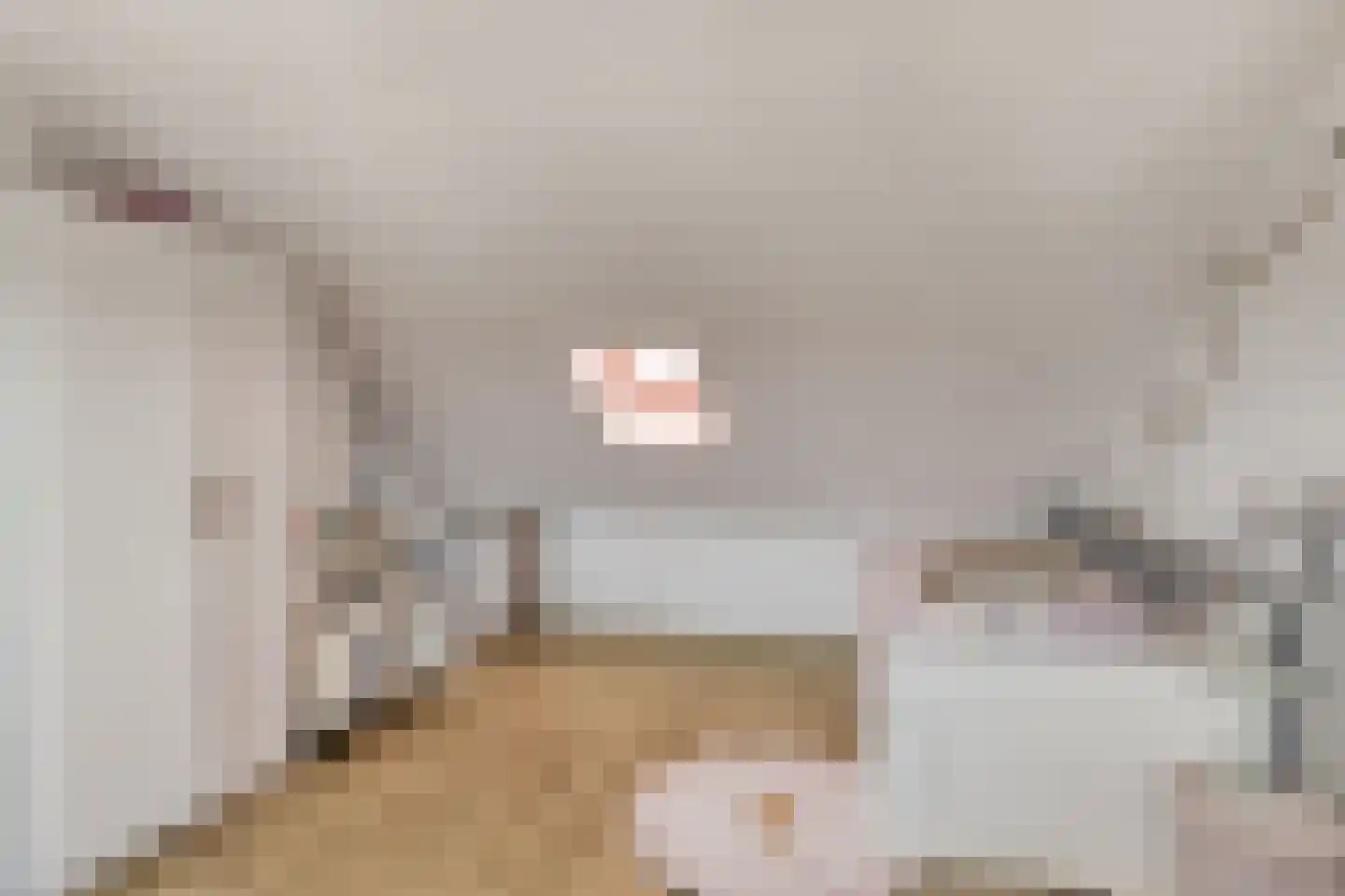 Leeuweriksingel 4 Sliedrecht thumbnail 23