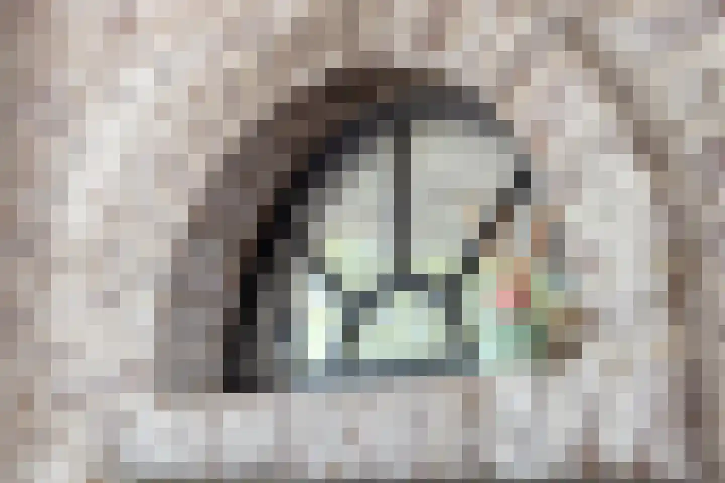 Leeuweriksingel 4 Sliedrecht thumbnail 7