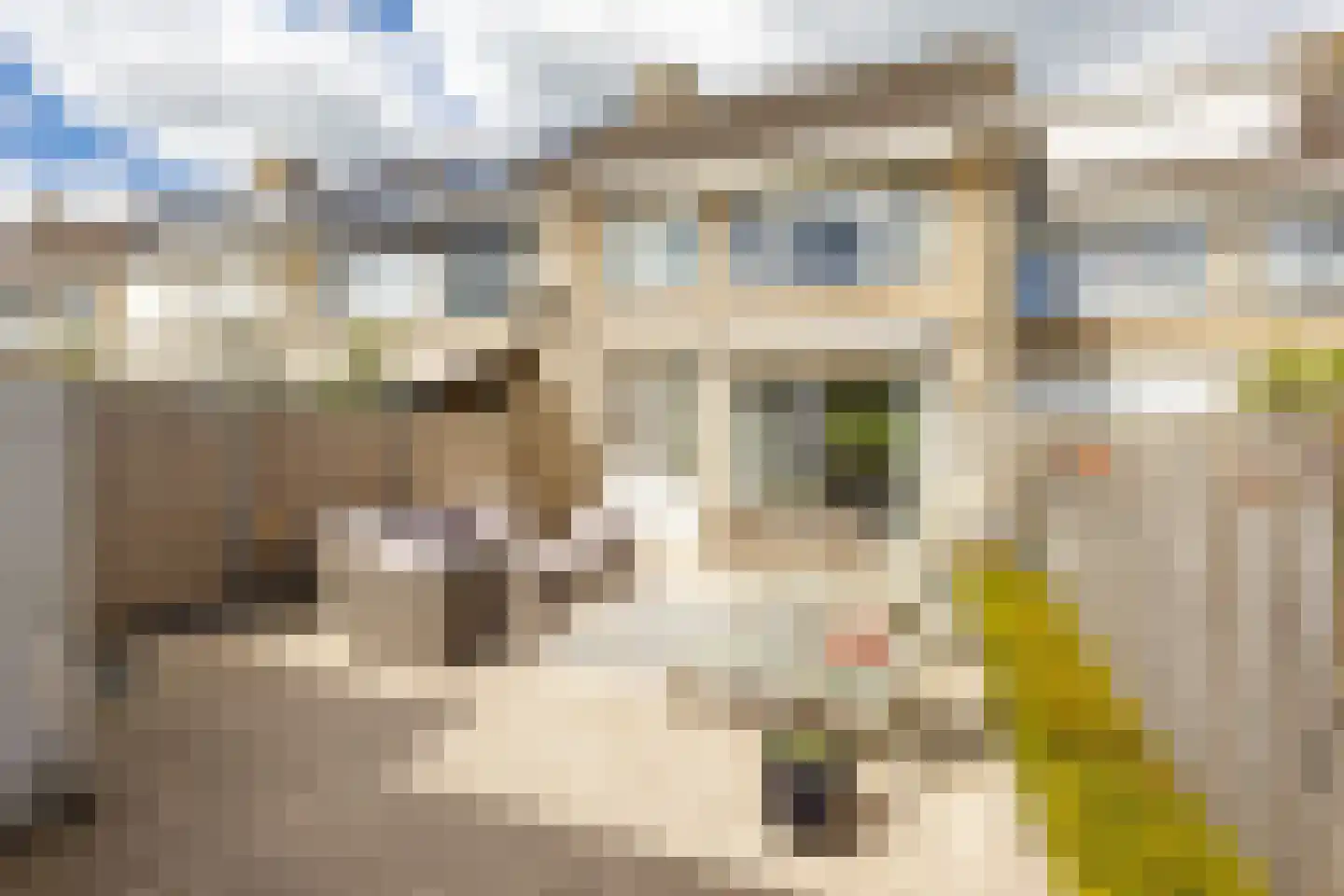 Leeuweriksingel 627 Sliedrecht thumbnail 27