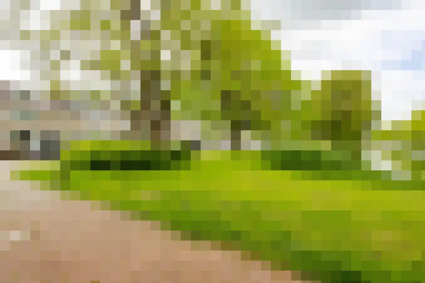Leeuweriksingel 627 Sliedrecht thumbnail 32