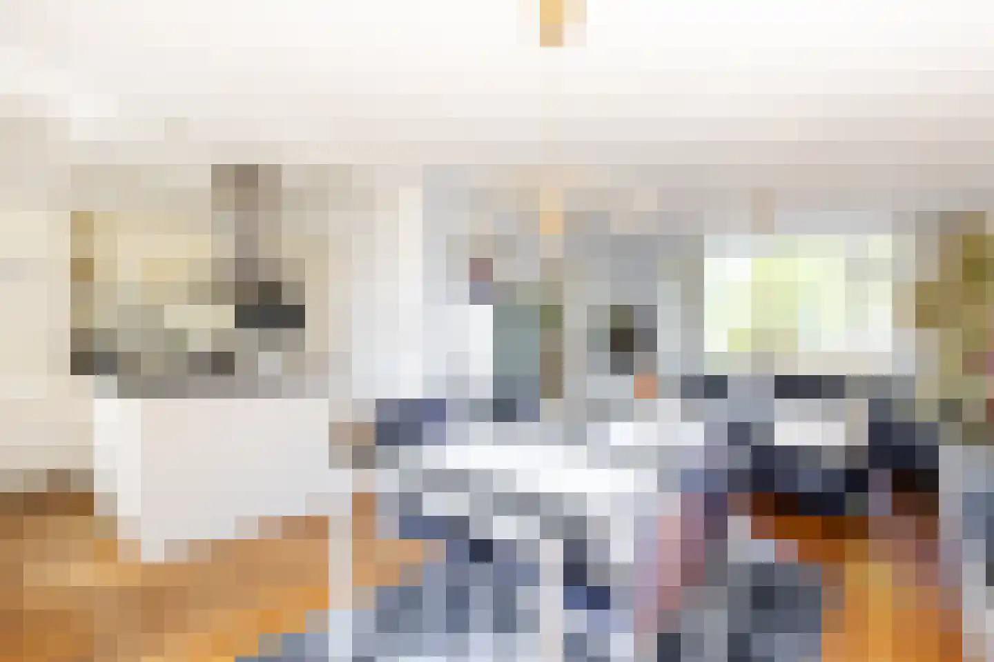 Leeuweriksingel 627 Sliedrecht thumbnail 4