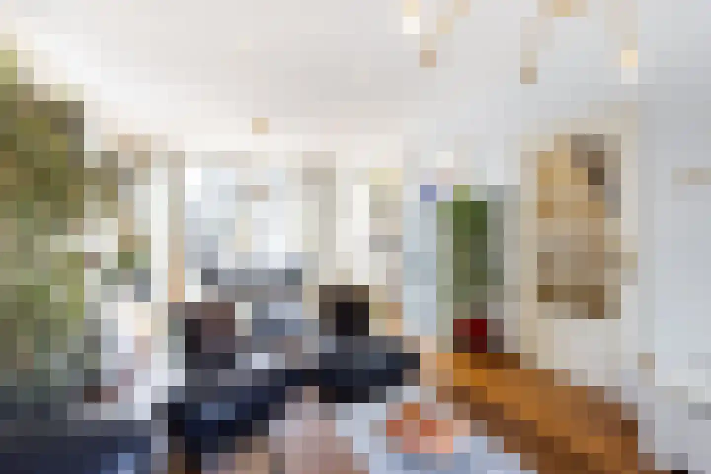 Leeuweriksingel 627 Sliedrecht thumbnail 8