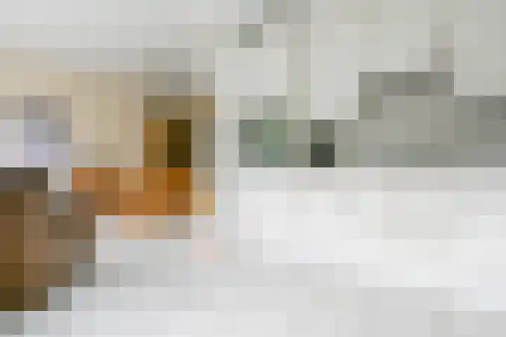 Leeuwerikspad 22 Ter Aar thumbnail 10