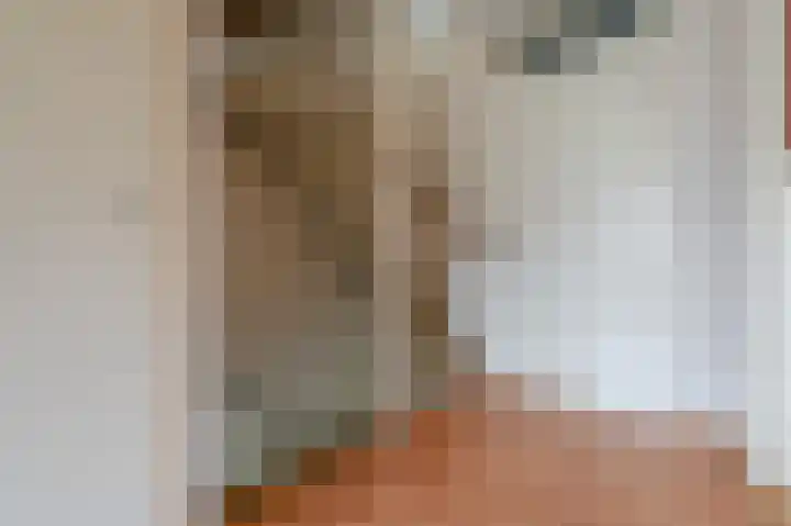 Leeuwerikspad 22 Ter Aar thumbnail 28