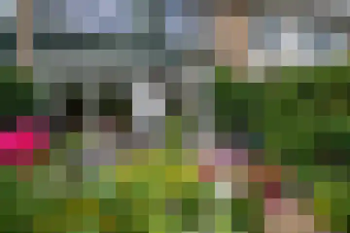 Leeuwerikspad 22 Ter Aar thumbnail 41